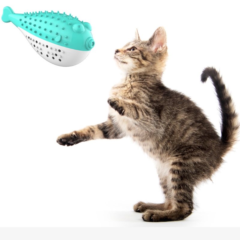 Furjoyz Großhandel Lustige Haustier Spielzeug Zahnbürste Interaktives Spielzeug Tragbare Katze Intelligente Reinigen Zähne Gummi Catnip Katze Spielzeug