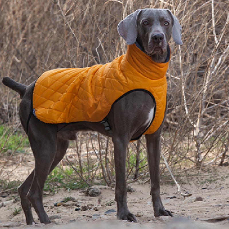 Amazon heißer verkaufneue haustier kleidung hund kleidung herbst und winter verdickte elastische pullover hunde pullover