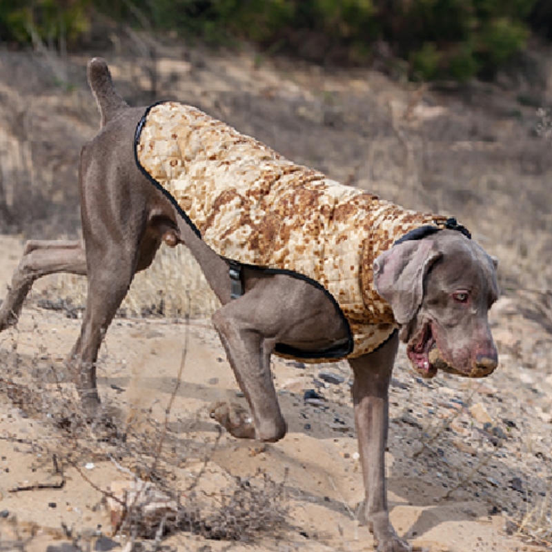 Amazon heißer verkaufneue haustier kleidung hund kleidung herbst und winter verdickte elastische pullover hunde pullover
