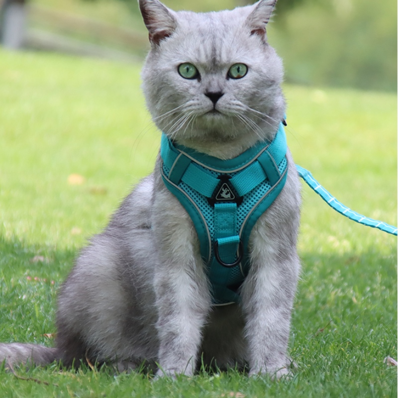 Mode Pet Weste Typ Traktion Brustgurt Katze Hund Einstellbare Einziehbare Traktionsseil Wanderhund Seilkragen