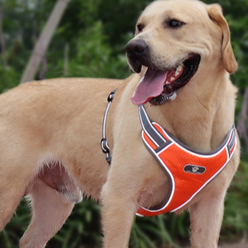 Großhandel OEM Herstellung Benutzerdefinierte High End Hund Harness Luxus Haustier Hund Reversible Harness Reflektierende Hundegeschirr